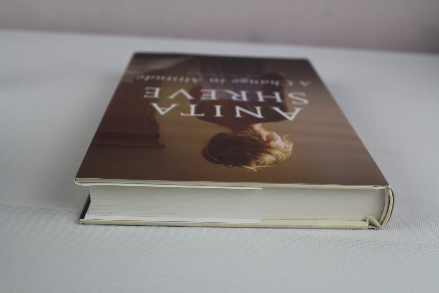 A Change in Altitude: A Novel by Anita Shreve