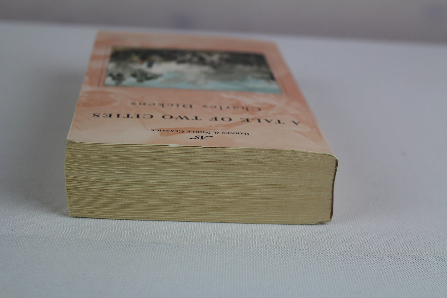 A Tale of Two Cities (Barnes & Noble Classics) by Charles Dickens, Gillen D'Arcy Wood