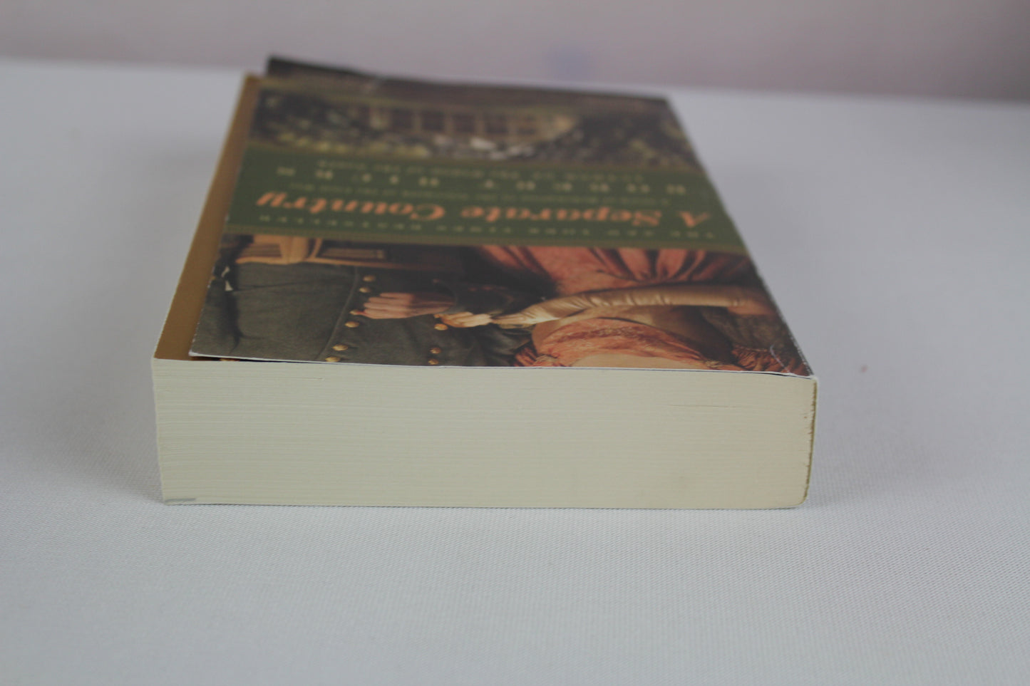A Separate Country by Robert Hicks