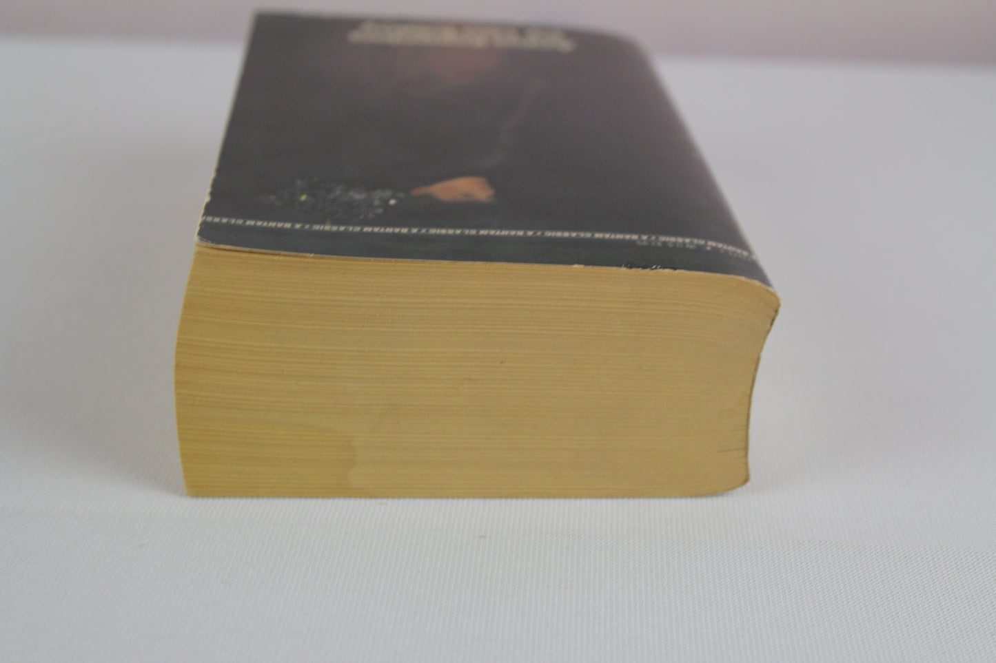 Anna Karenina by Leo Tolstoy