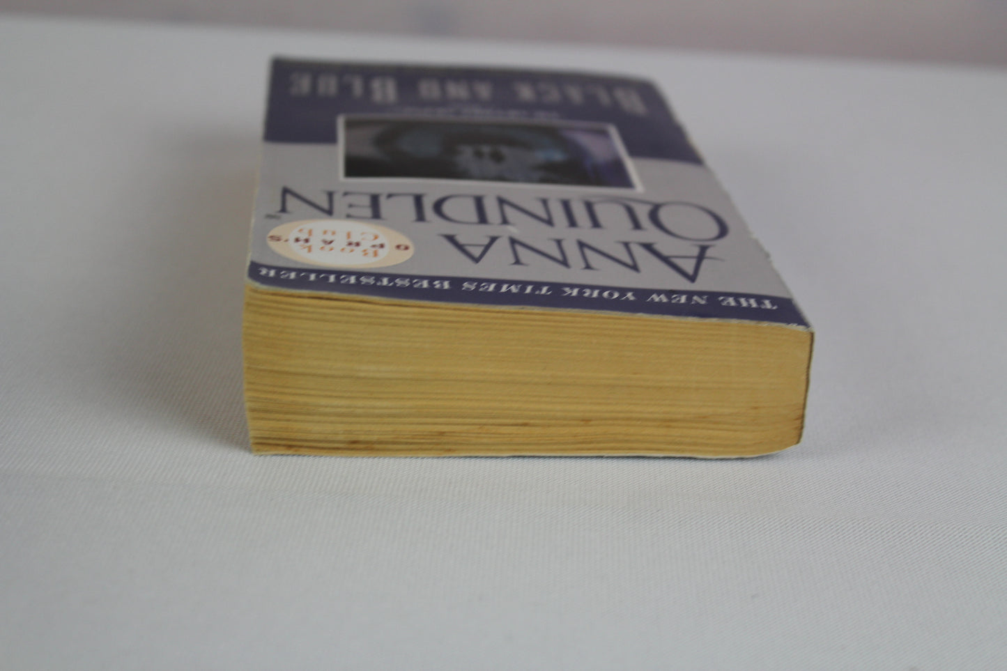 Black and Blue: A Novel (Oprah's Book Club) by Anna Quindlen
