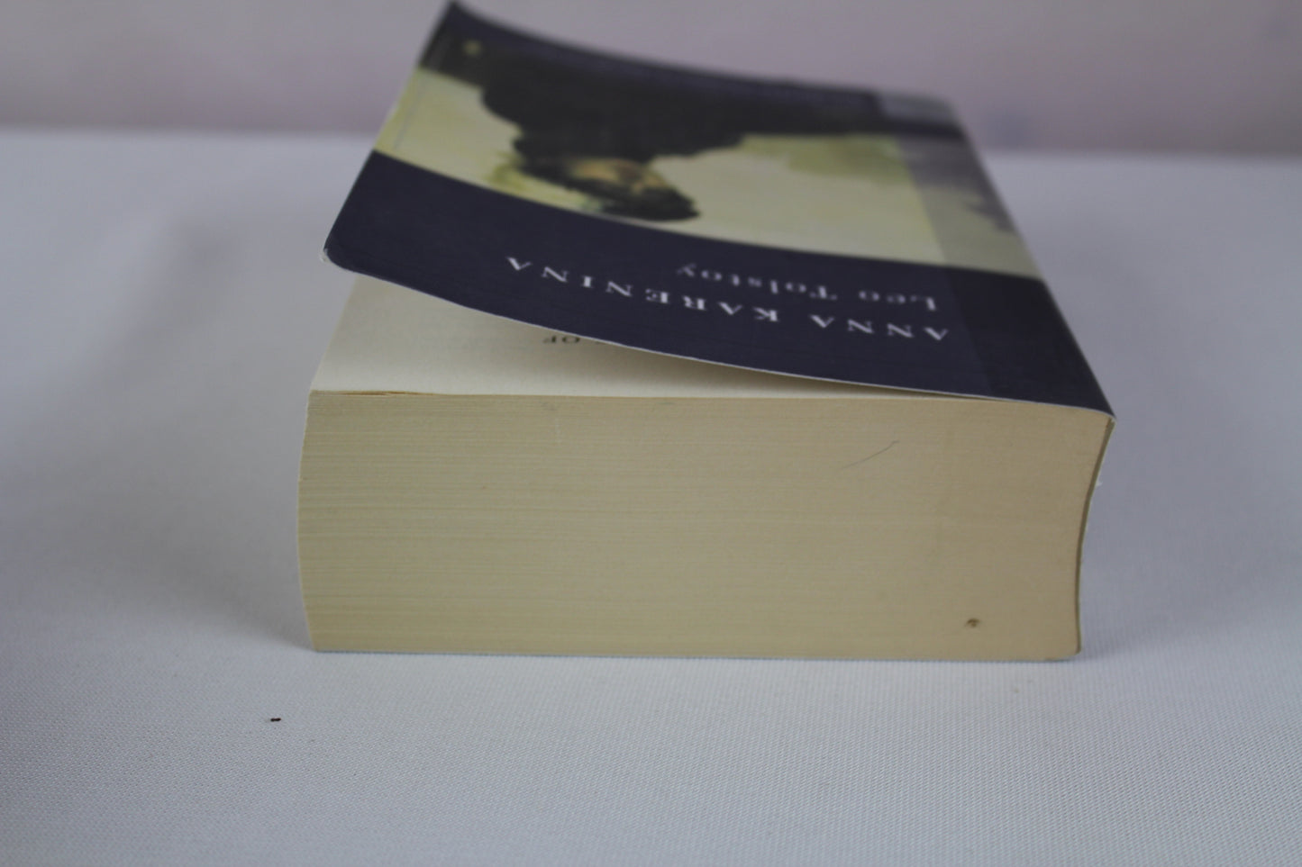 Anna Karenina (Barnes & Noble Classics) by Leo Tolstoy, George Stade, Constance Garnett, Amy Mandelker