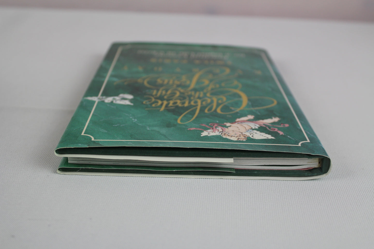 Celebrate the Gift of Jesus Every Day: Song Lyrics & Devotionals by Twila Paris
