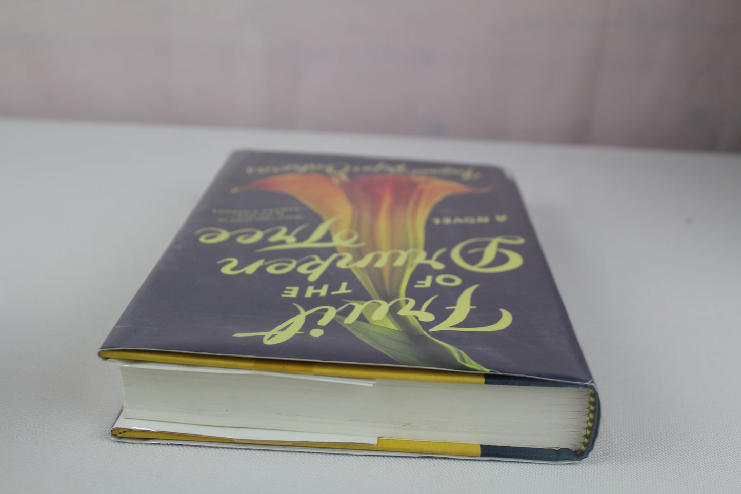 Fruit of the Drunken Tree: A Novel by Ingrid Rojas Contreras