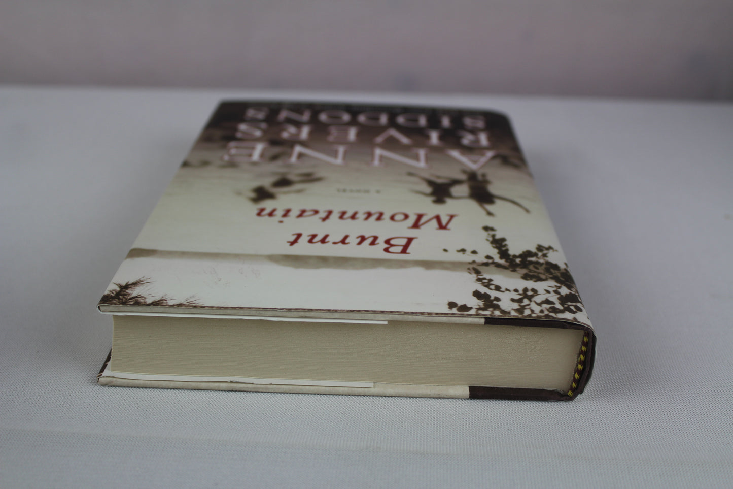 Burnt Mountain by Anne Rivers Siddons