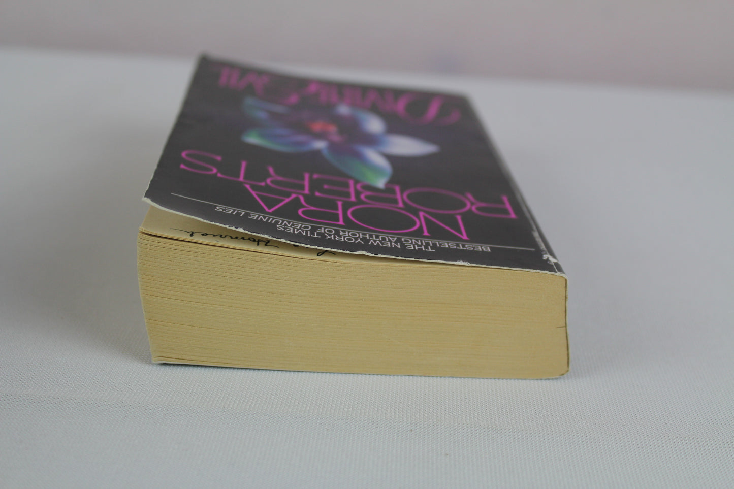 Divine Evil: A Novel by Nora Roberts