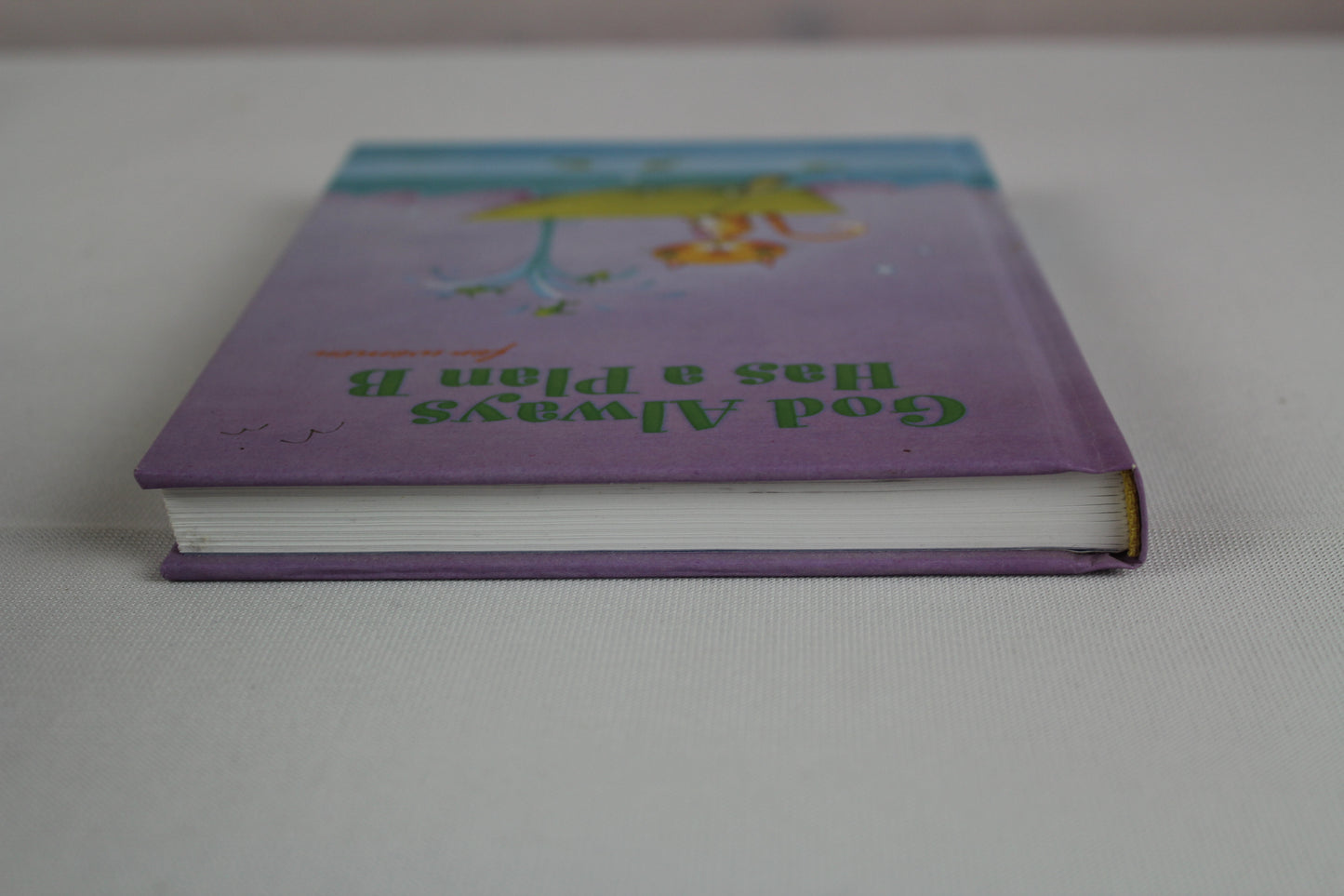 God Always Has a Plan B for Women (Giftbook from Hallmark) by Sarah M. Hupp, Molly C. Detweiler