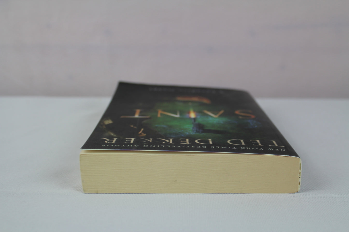 Saint: A Paradise Novel (The Books of History Chronicles) by Ted Dekker