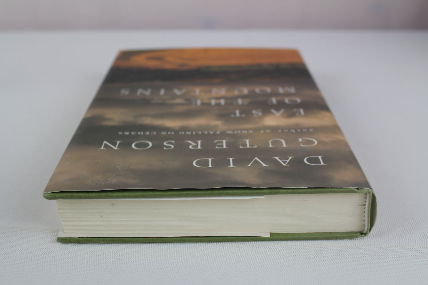 East of the Mountains by David Guterson
