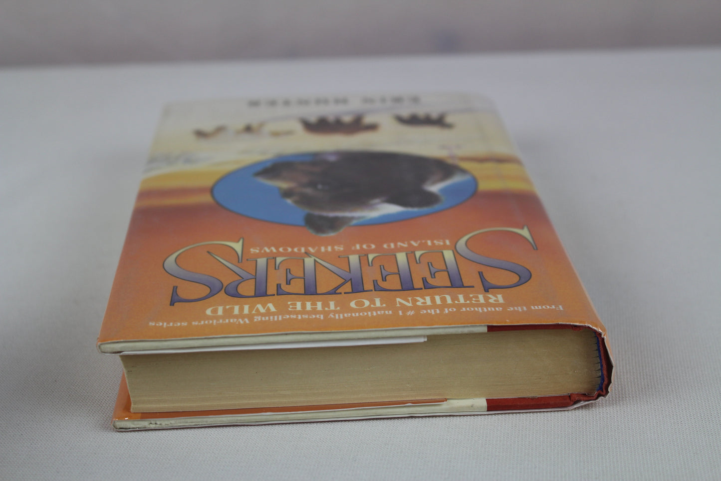 Island of Shadows: 1 by Erin Hunter