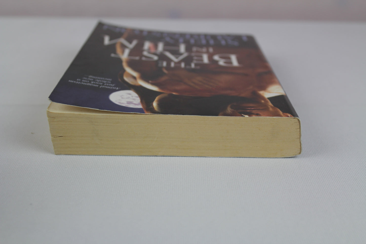 The Beast in Him (Pride, Book 2) by Shelly Laurenston