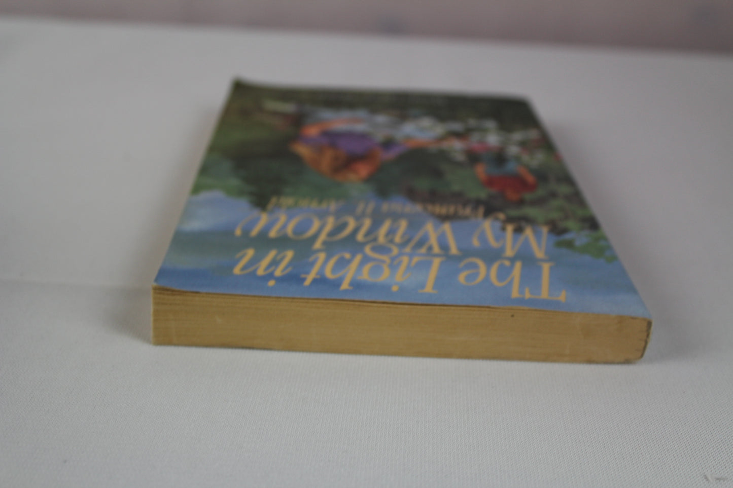 The Light in My Window (Moody Classic Fiction) by Francena H. Arnold