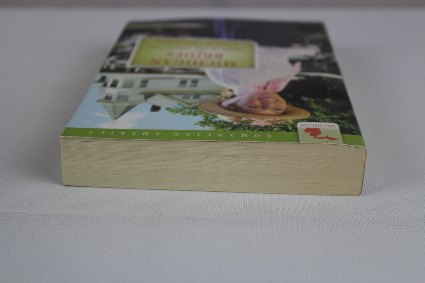 Michigan Brides (Romancing America) by Tiffany Amber Stockton