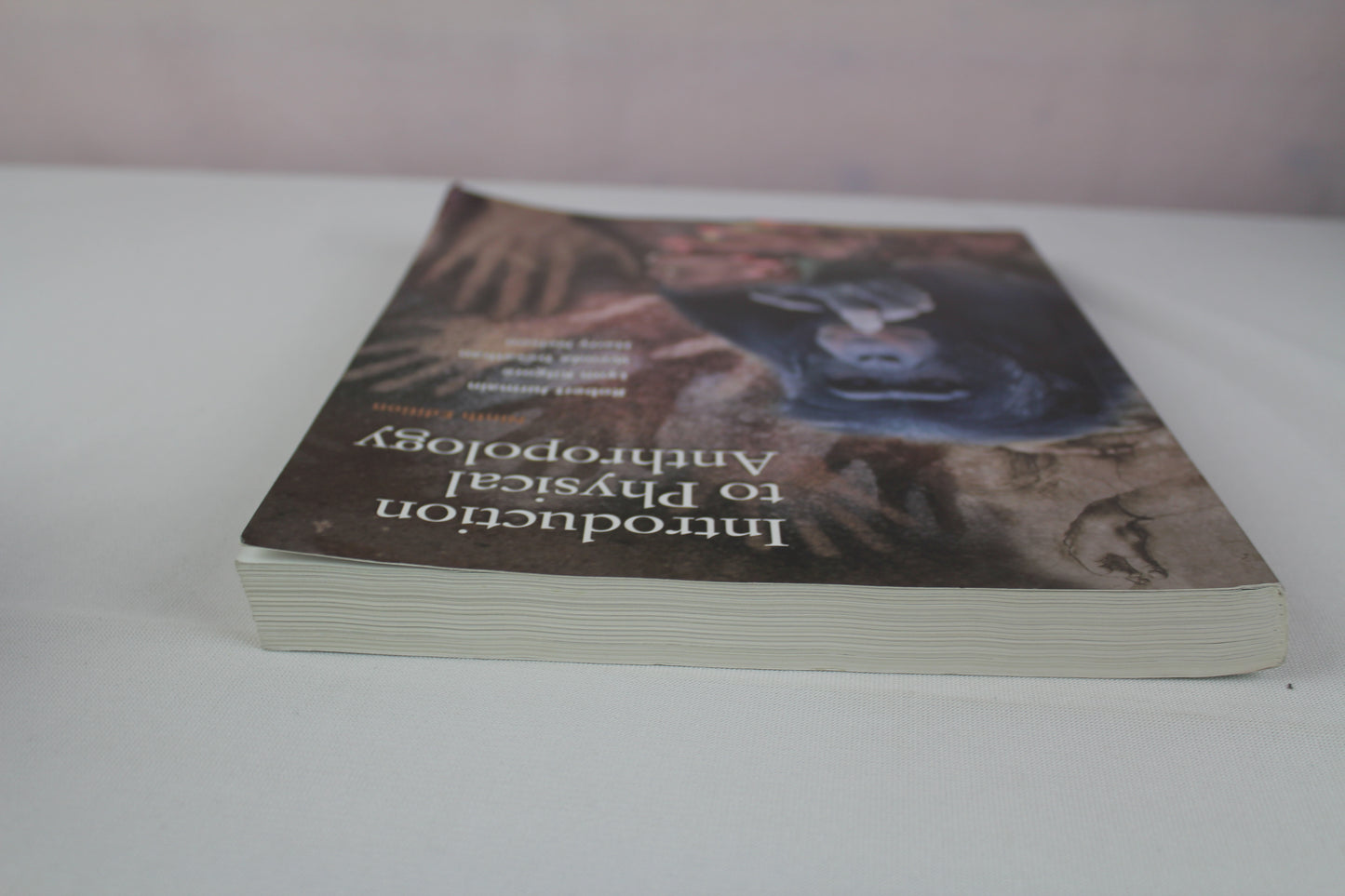 Introduction to Physical Anthropology, Study Guide by Robert Jurmain