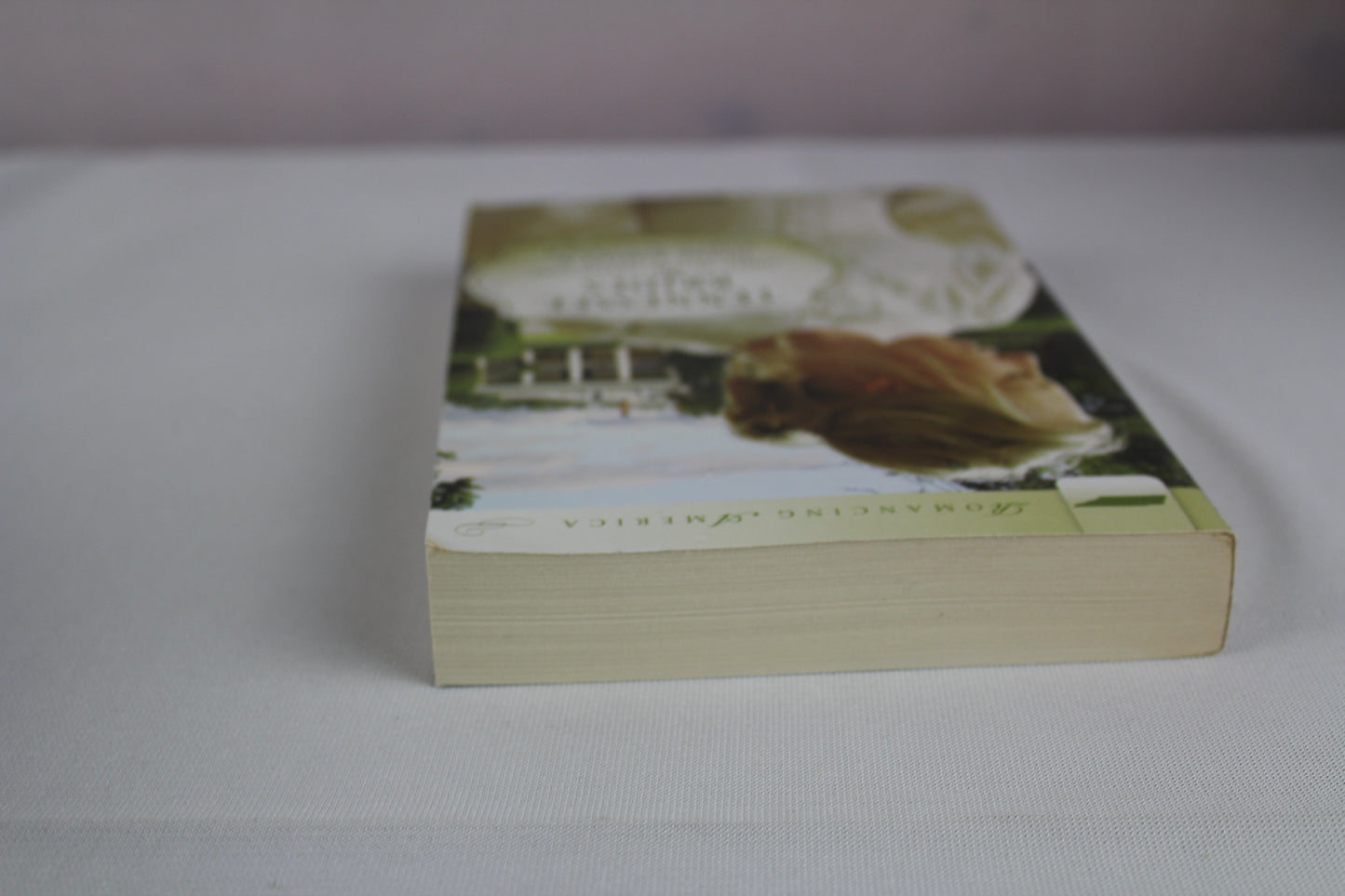 Tennessee Brides (Romancing America) by Diane Ashley, Aaron McCarver