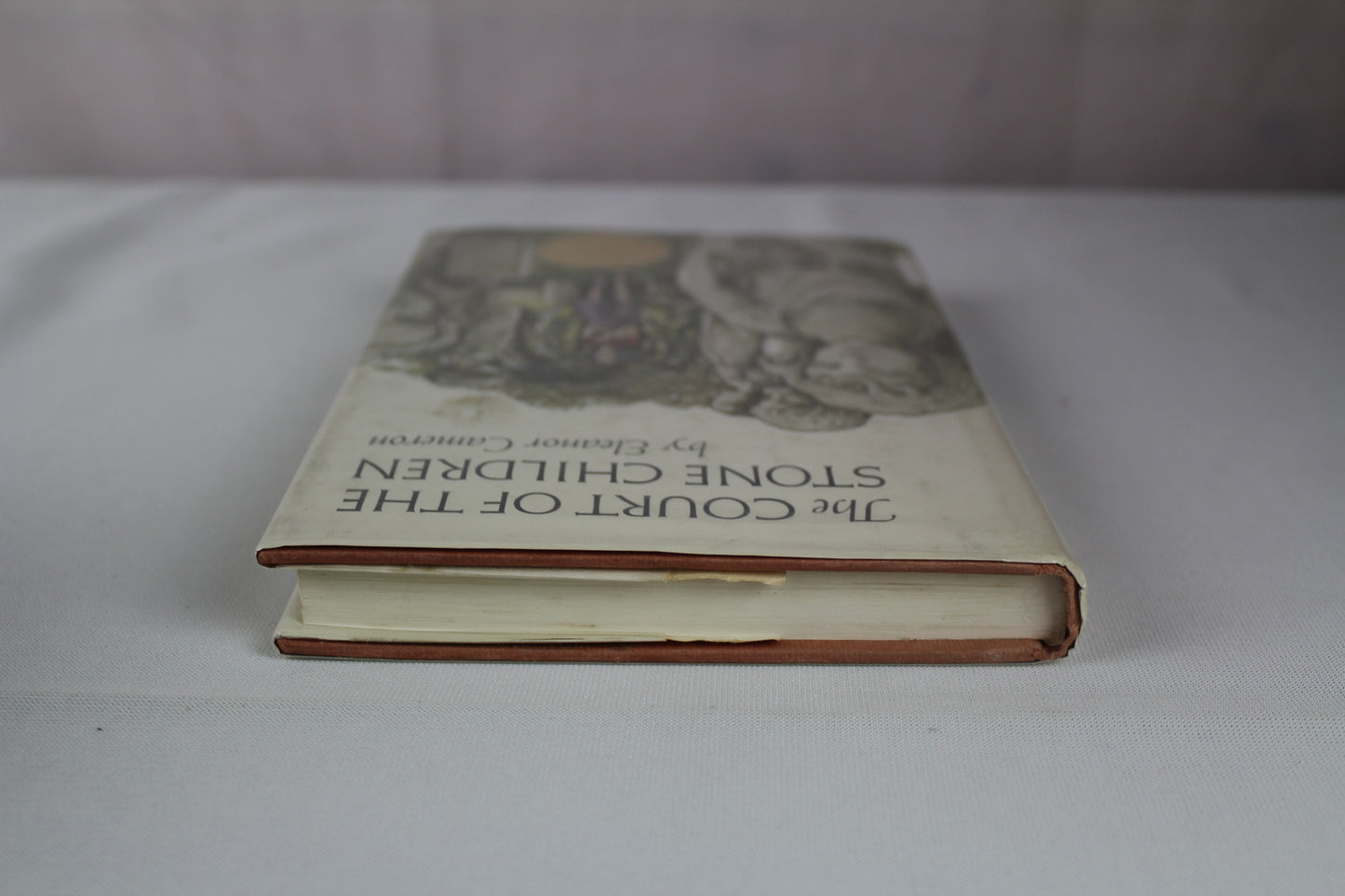 The Court of the Stone Children by Eleanor Cameron, Trina Schart Hyman, Riki Levinson