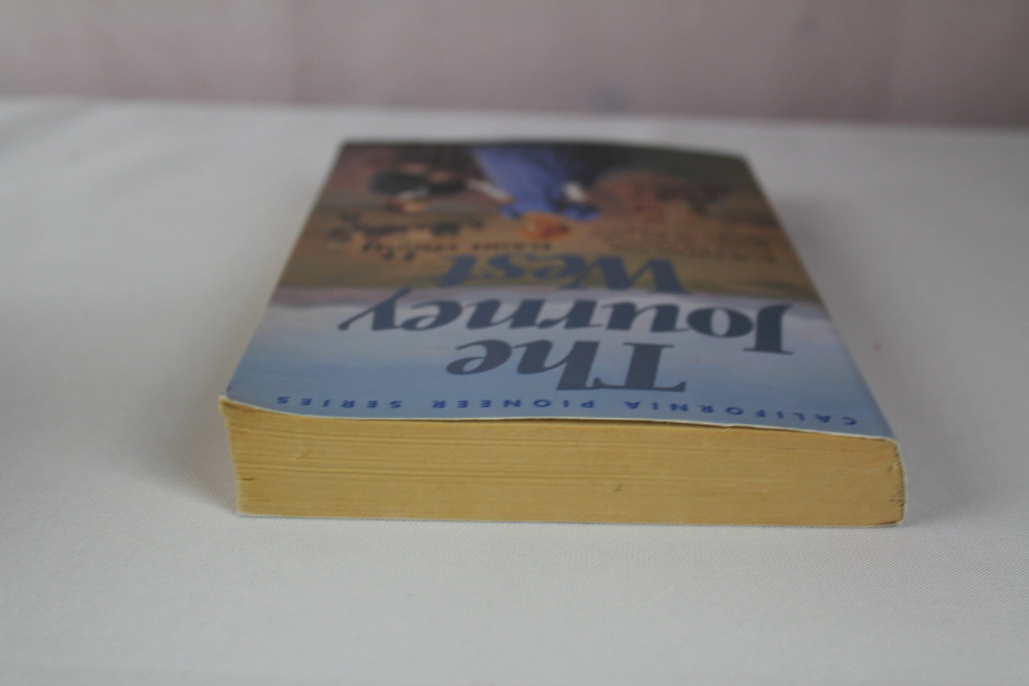 The Journey West (California Pioneer Series, Book I) by Elaine L. Schulte