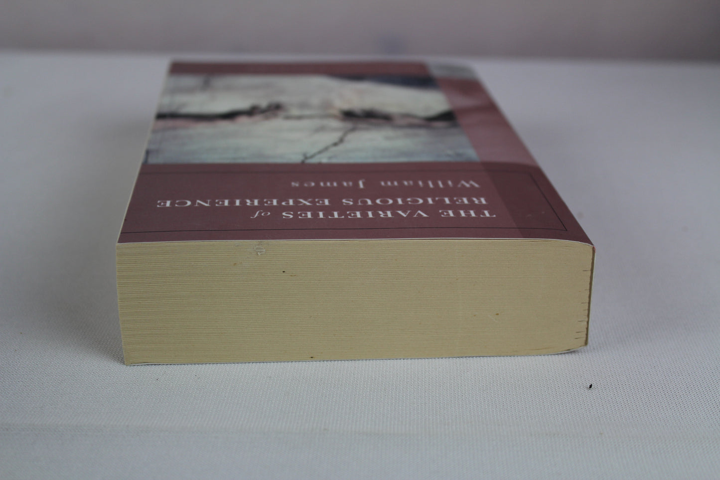 The Varieties of Religious Experience: A Study in Human Nature by William James, Wayne Proudfoot