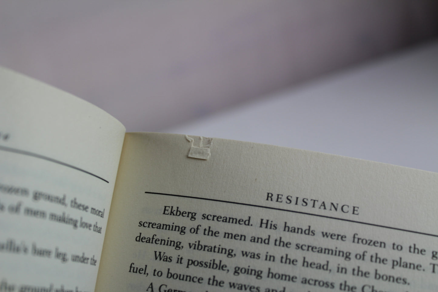 Resistance: A Novel by Anita Shreve