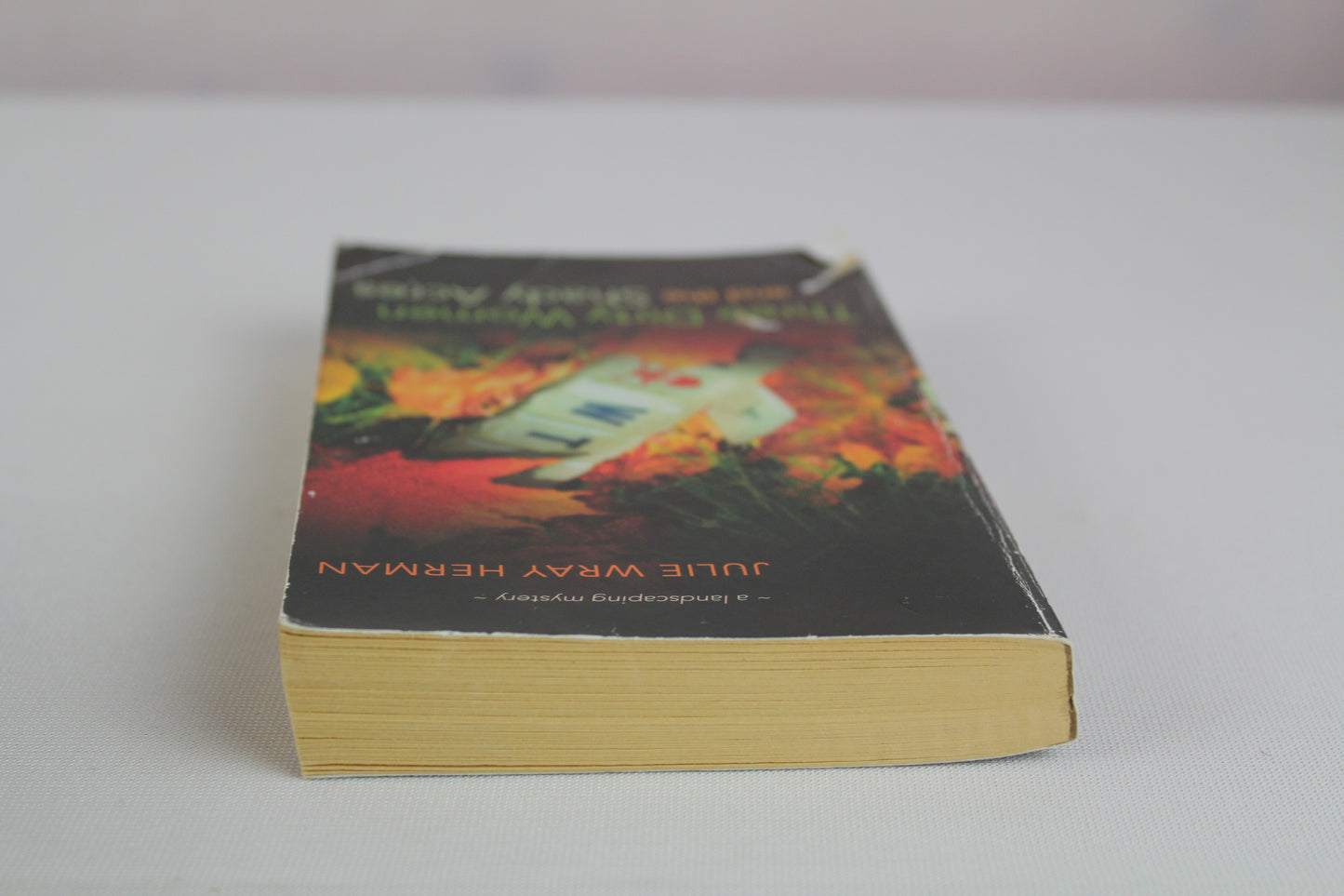 Three Dirty Woman and the Shady Acres by Julie Wray Herman