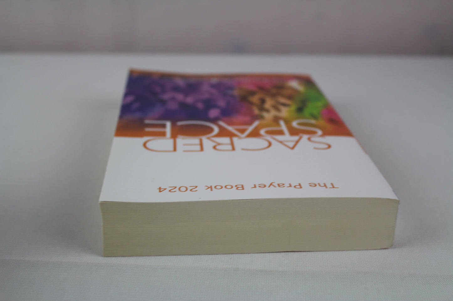 Sacred Space: The Prayer Book 2024 by The Irish Jesuits
