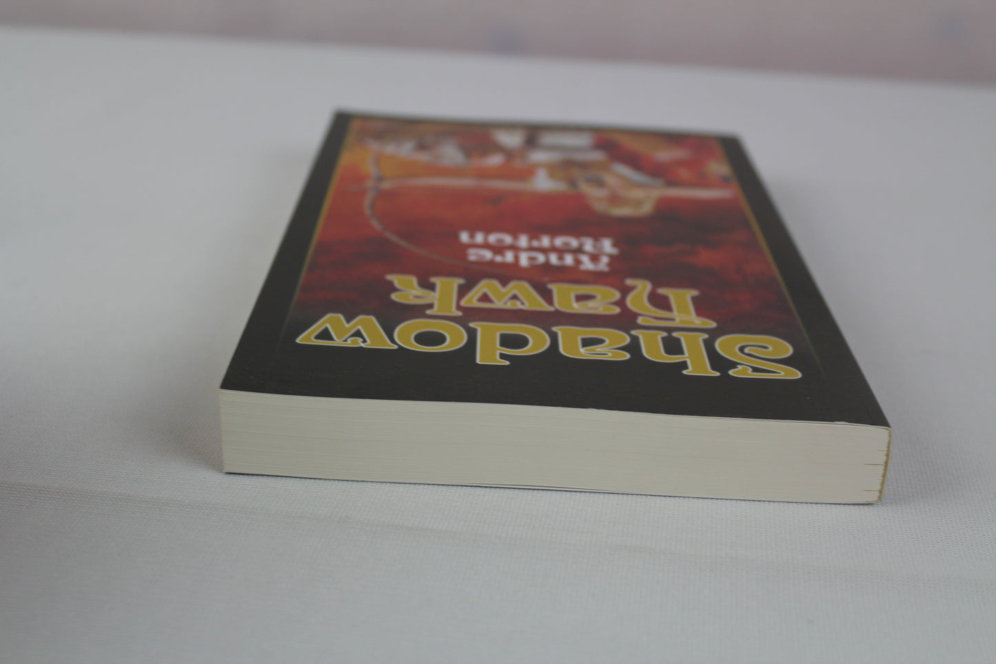 Shadow Hawk (Living History Library) by Andre Norton
