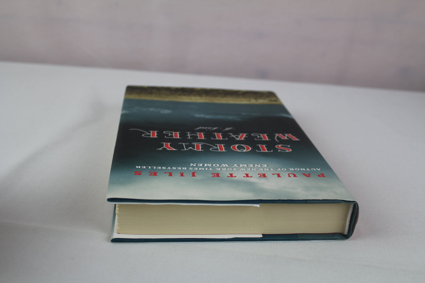 Stormy Weather: A Novel by Paulette Jiles