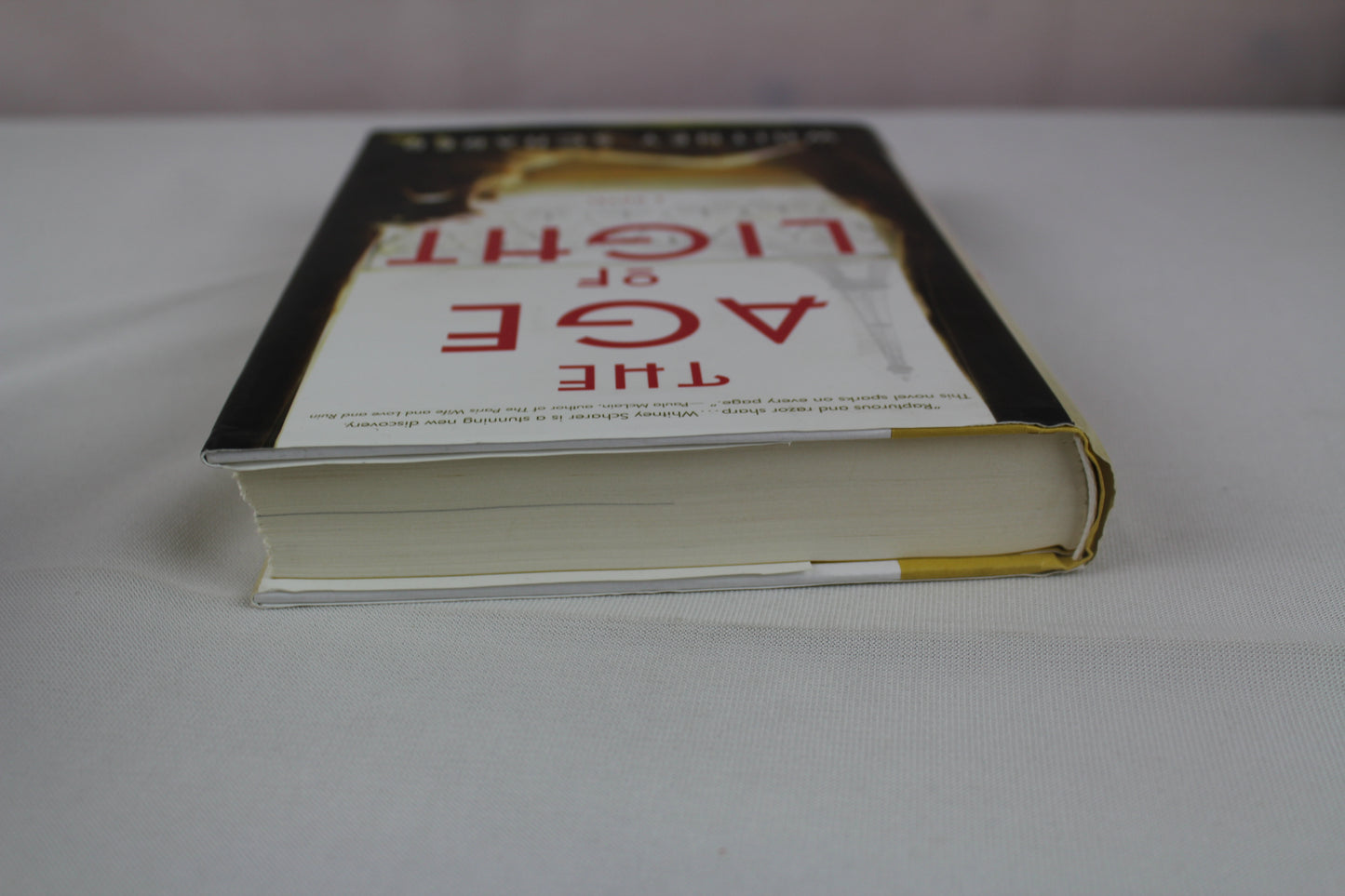 The Age of Light: A Novel by Whitney Scharer