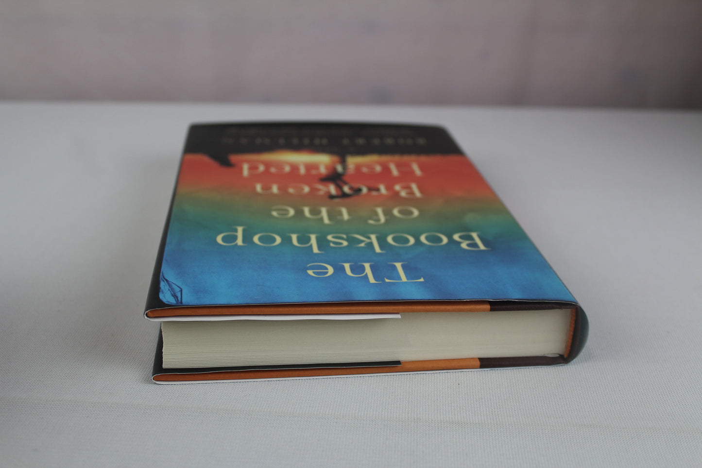 The Bookshop of the Broken Hearted by Robert Hillman