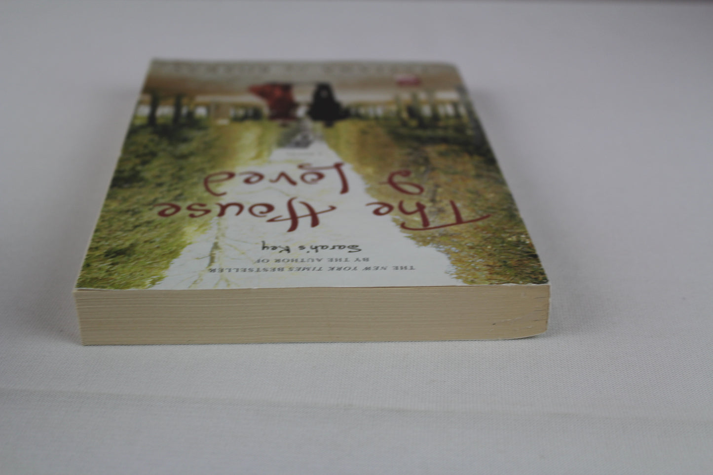 The House I Loved by Tatiana de Rosnay