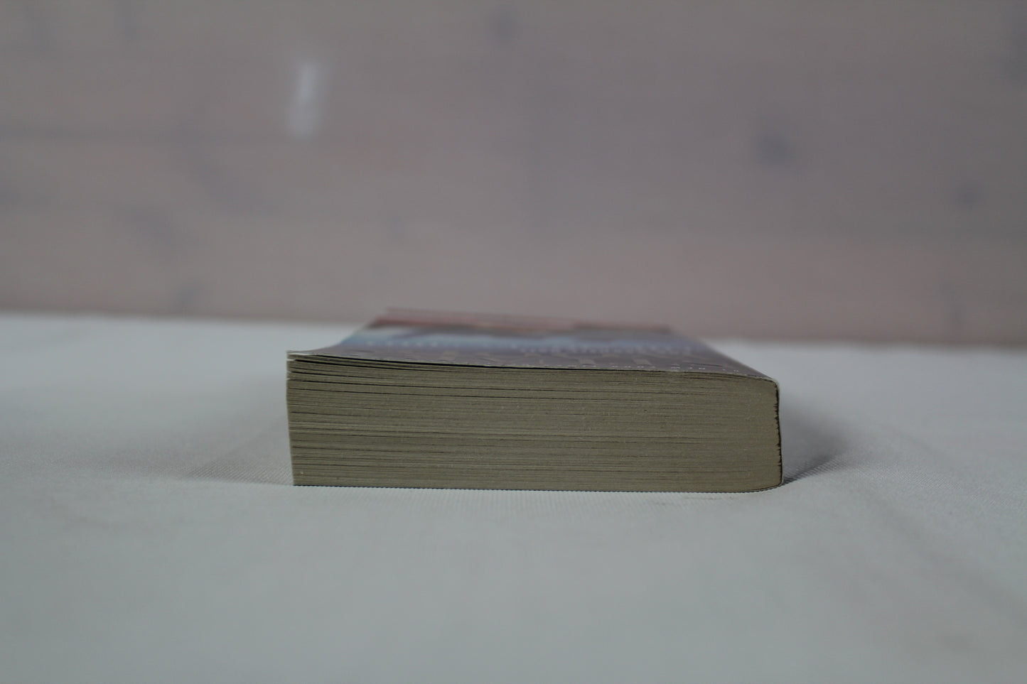 The Money Shot (A Teddy Fay Novel) by Stuart Woods, Parnell Hall