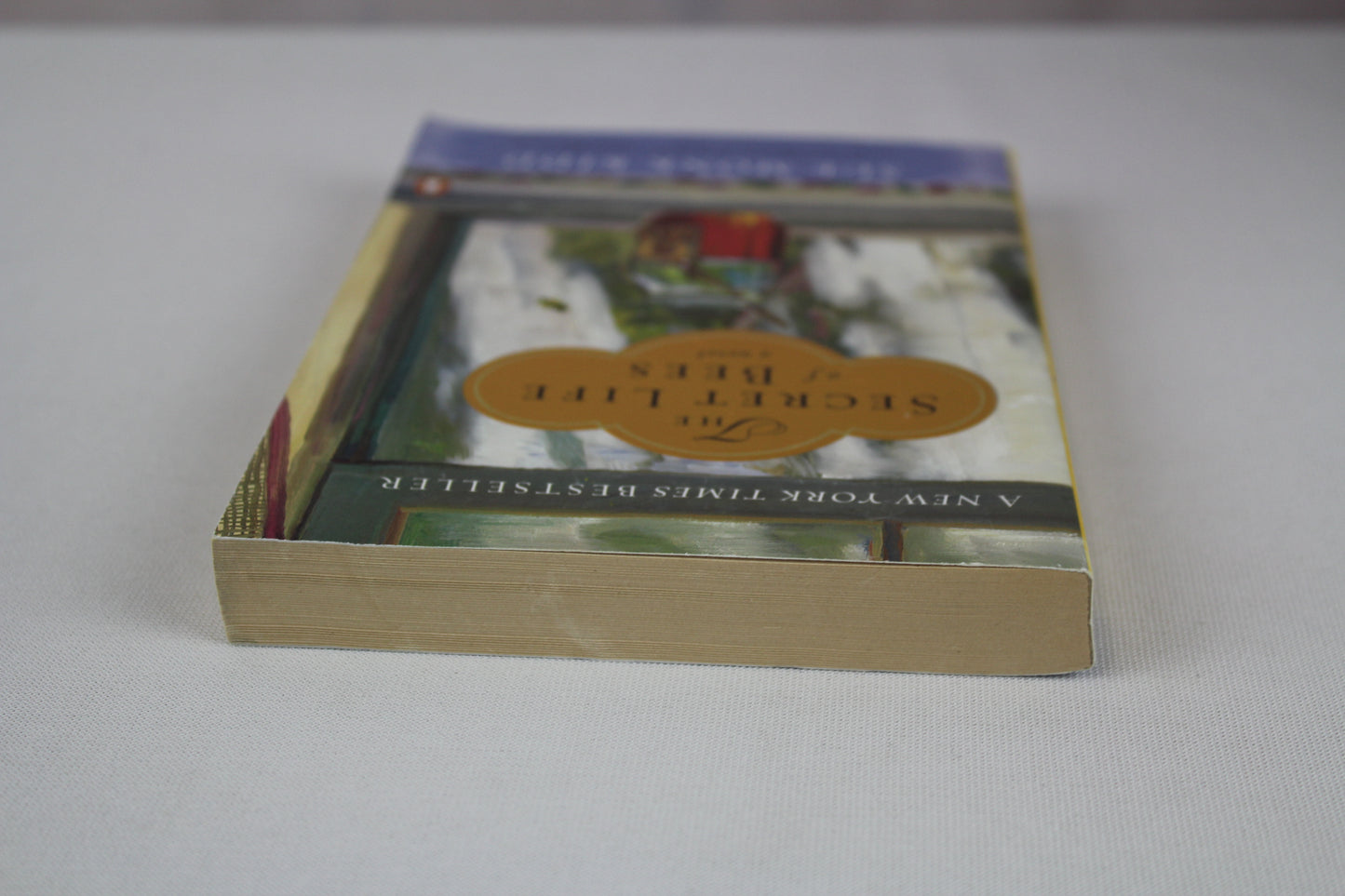 The Secret Life of Bees by Sue Monk Kidd