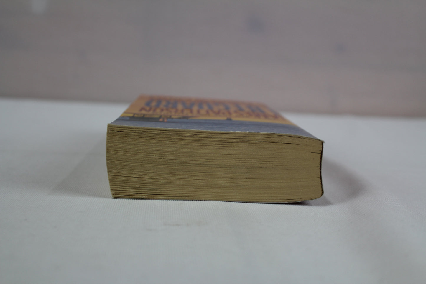 Lifeguard by James Patterson, Andrew Gross