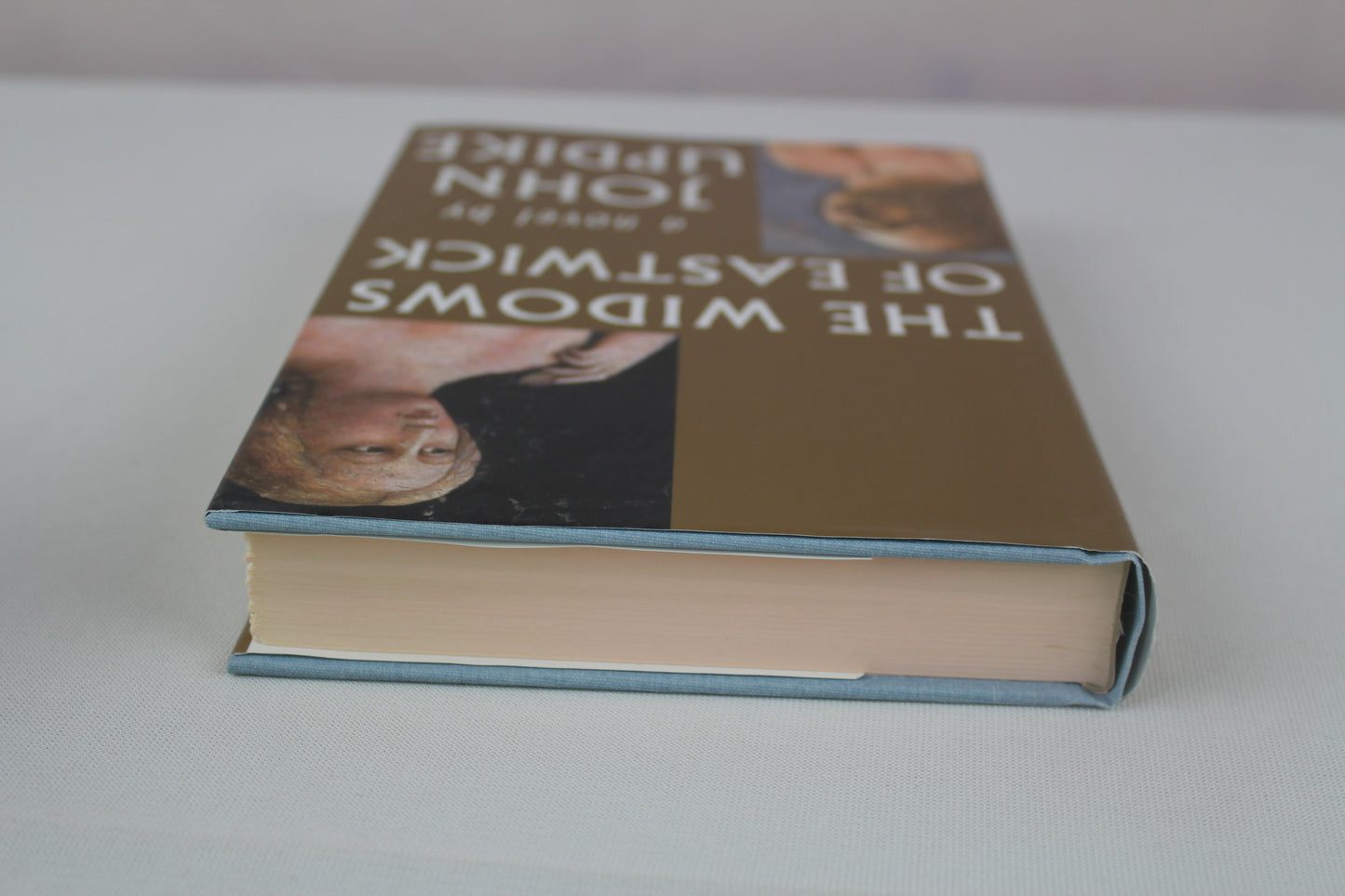 The Widows of Eastwick by John Updike