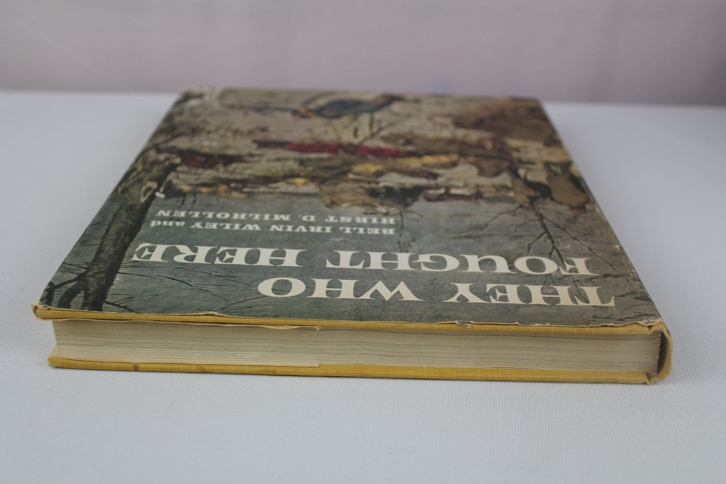 They Who Fought Here by Bell Irvin Wiley