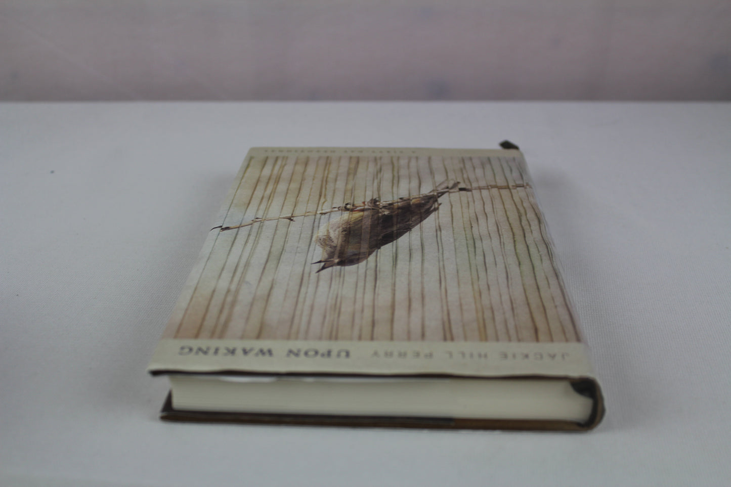 Upon Waking: 60 Daily Reflections to Discover Ourselves and the God We Were Made For by Jackie Hill Perry