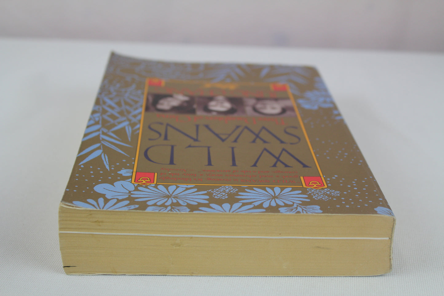 Wild Swans: Three Daughters of China by Jung Chang