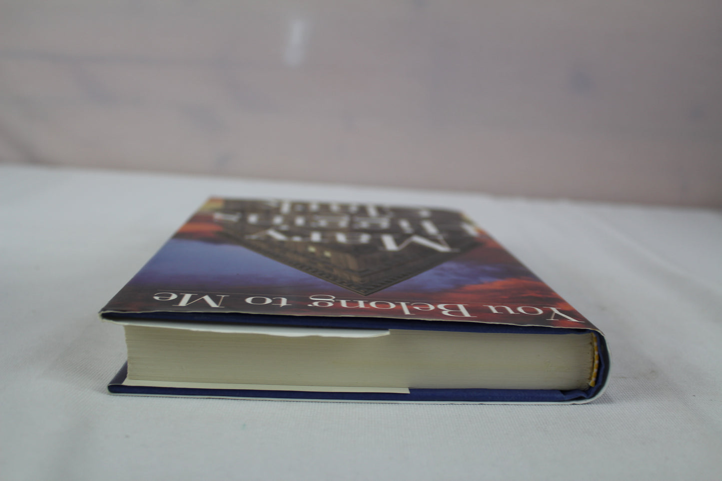 You Belong to Me by Mary Higgins Clark