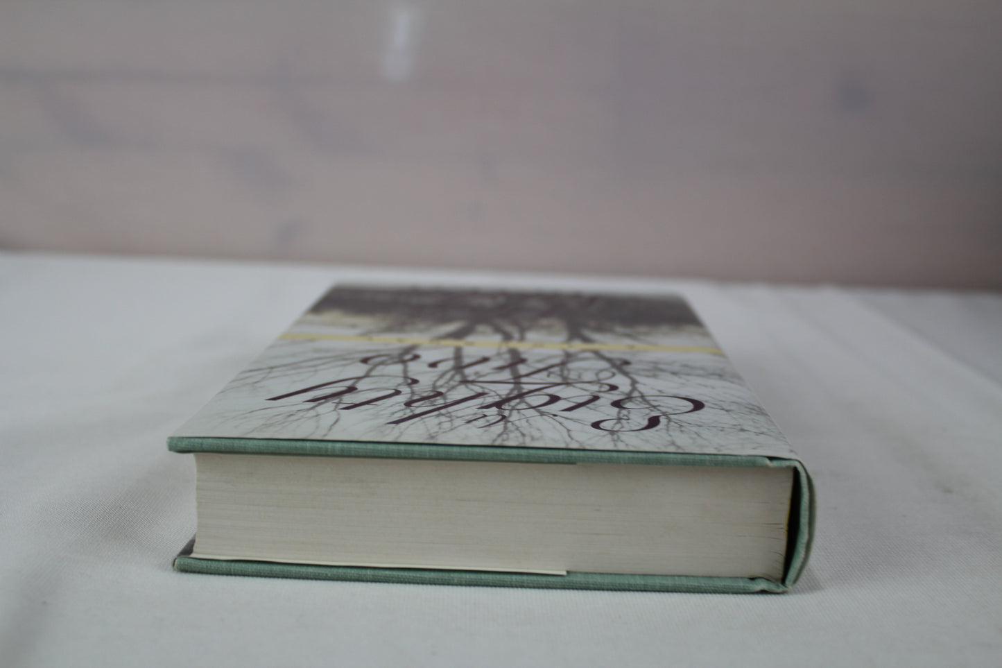 At Eighty Two : A Journal by May Sarton