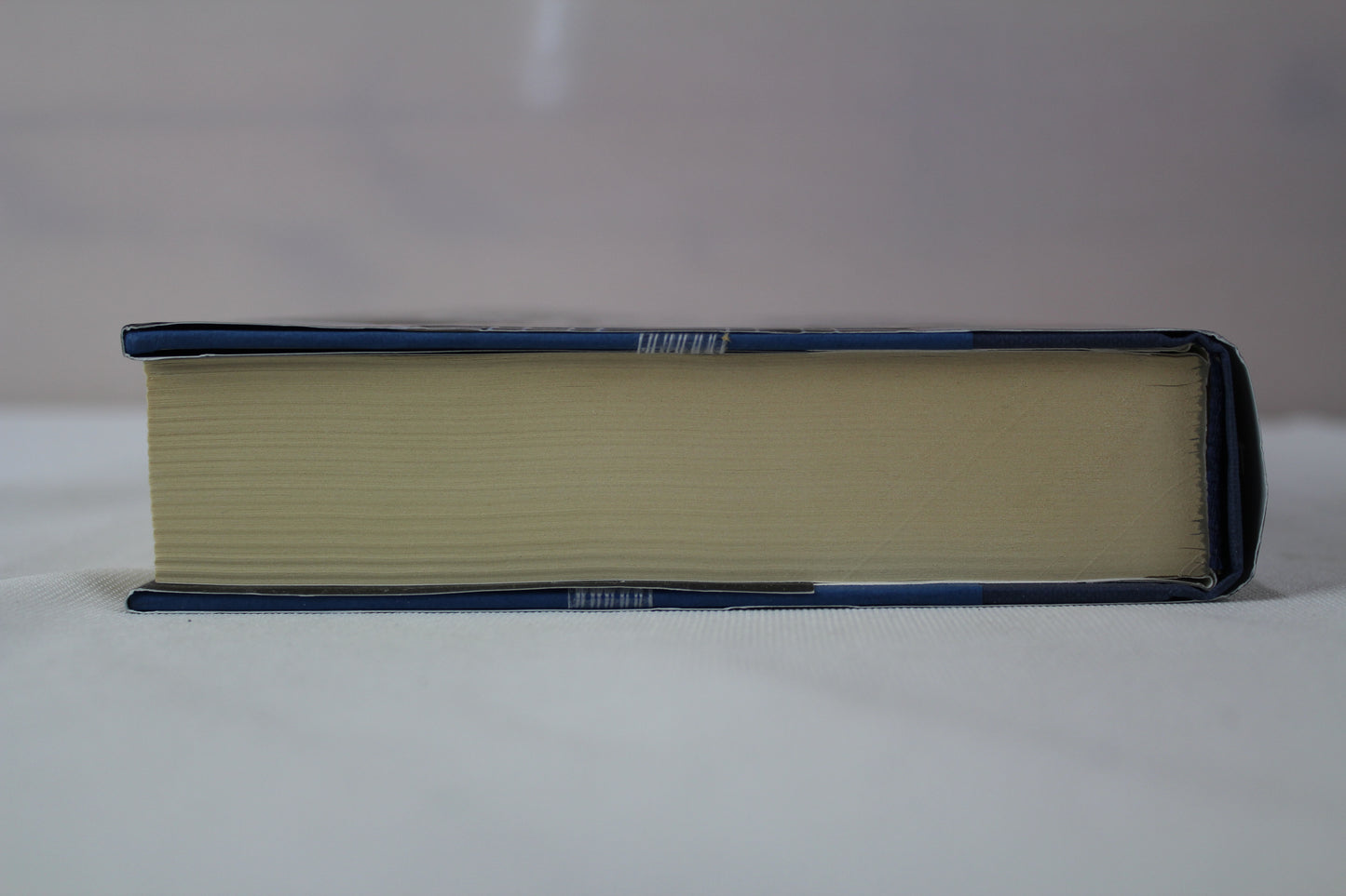 The Second Rebel (The First Sister trilogy) by Linden A. Lewis