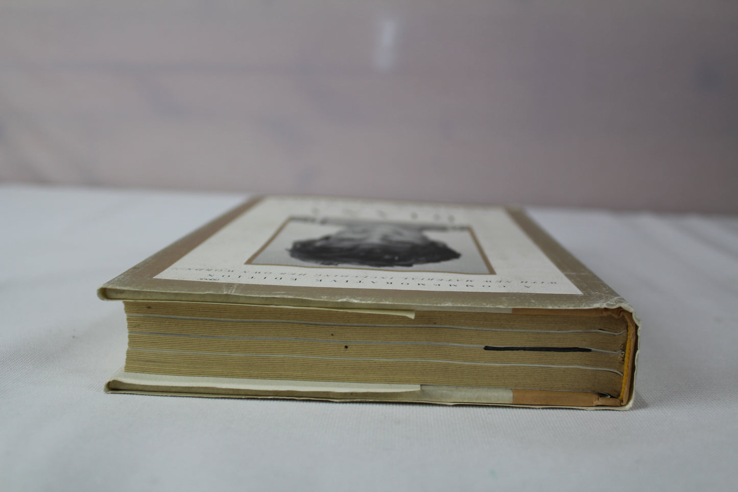 Diana Her True Story Commemorative Edition by Andrew Morton