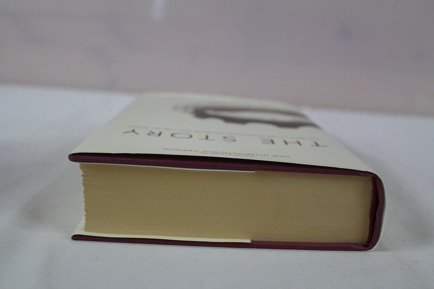 NIV, The Story, Hardcover: The Bible as One Continuing Story of God and His People by Max Lucado, Randy Frazee