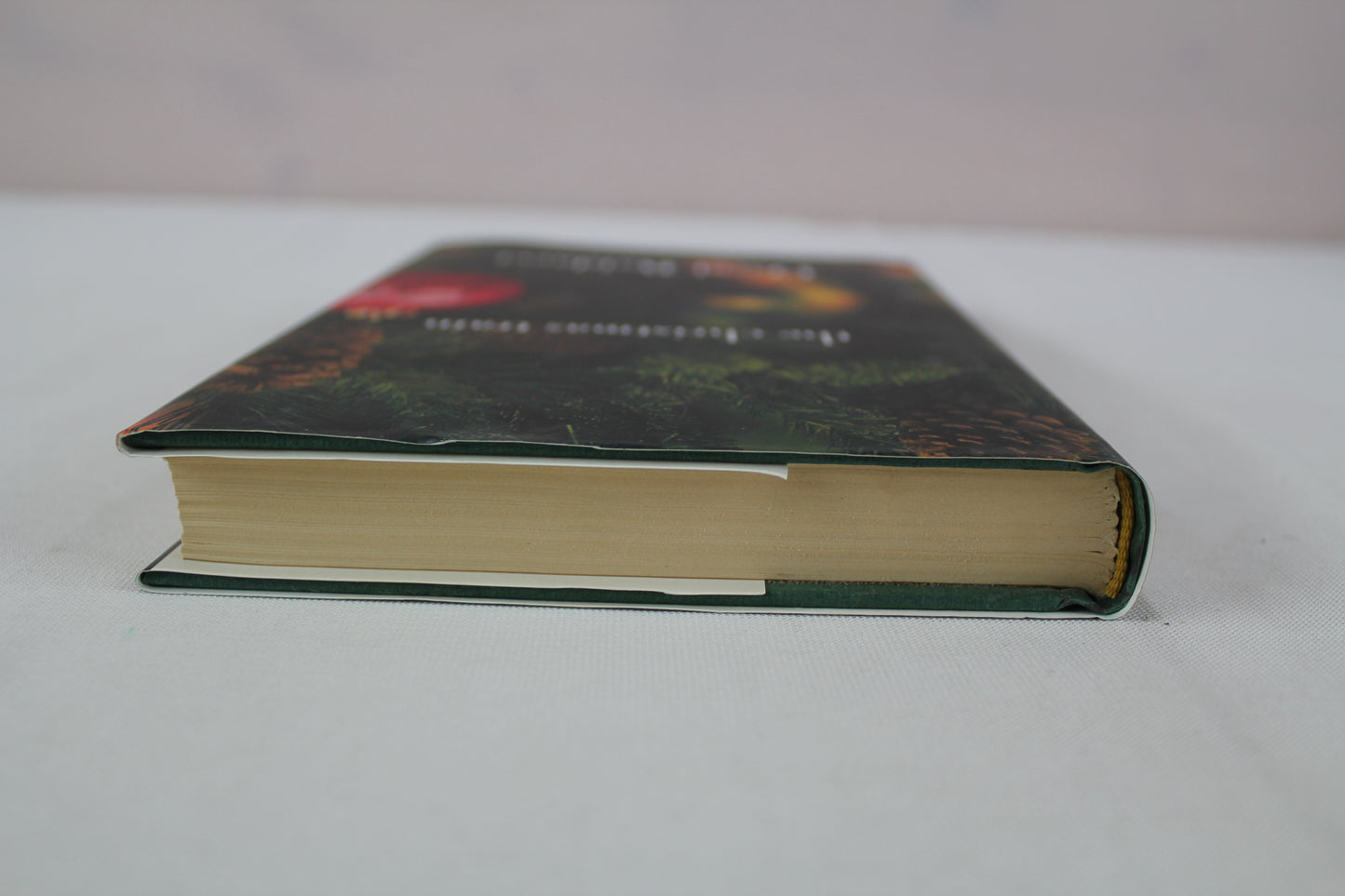 The Christmas Train by David Baldacci
