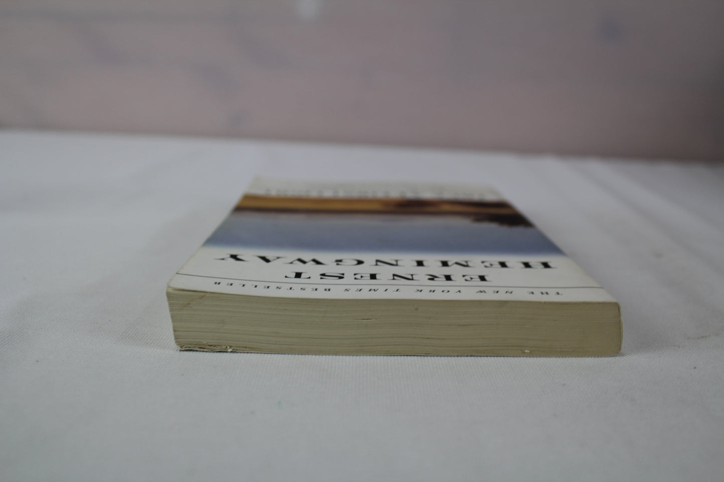 True at First Light: A Fictional Memoir by Ernest Hemingway