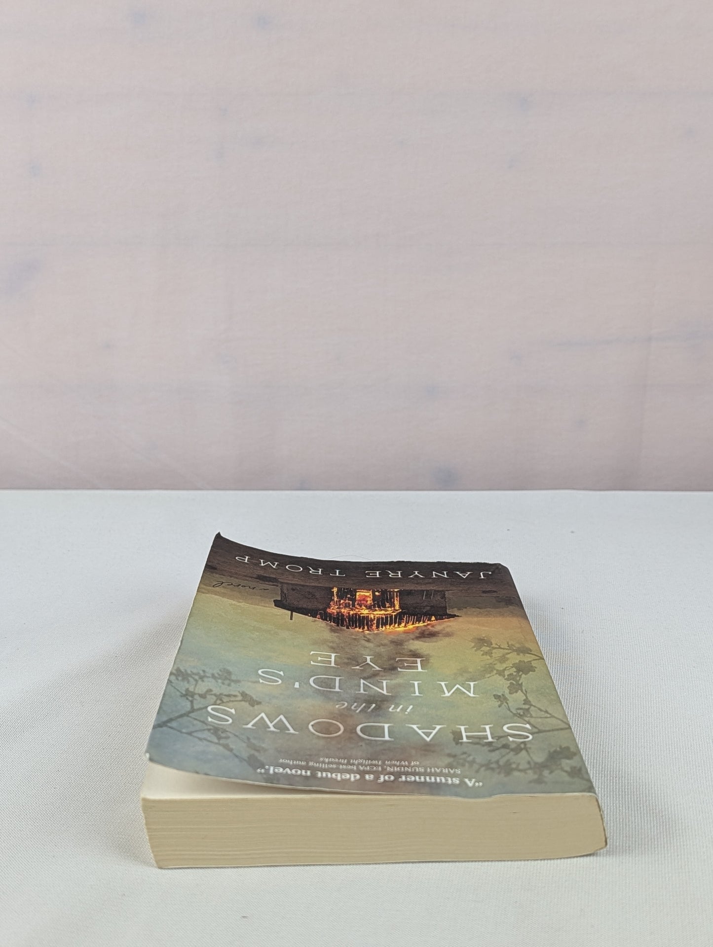 Shadows in the Mind's Eye: A Novel by Janyre Tromp