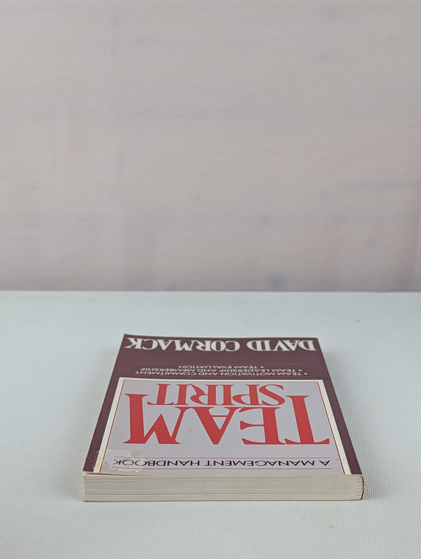 Team Spirit: A Management Handbook/Team Motivation and Commitment, Team Leadership and Membership, Team Evaluation