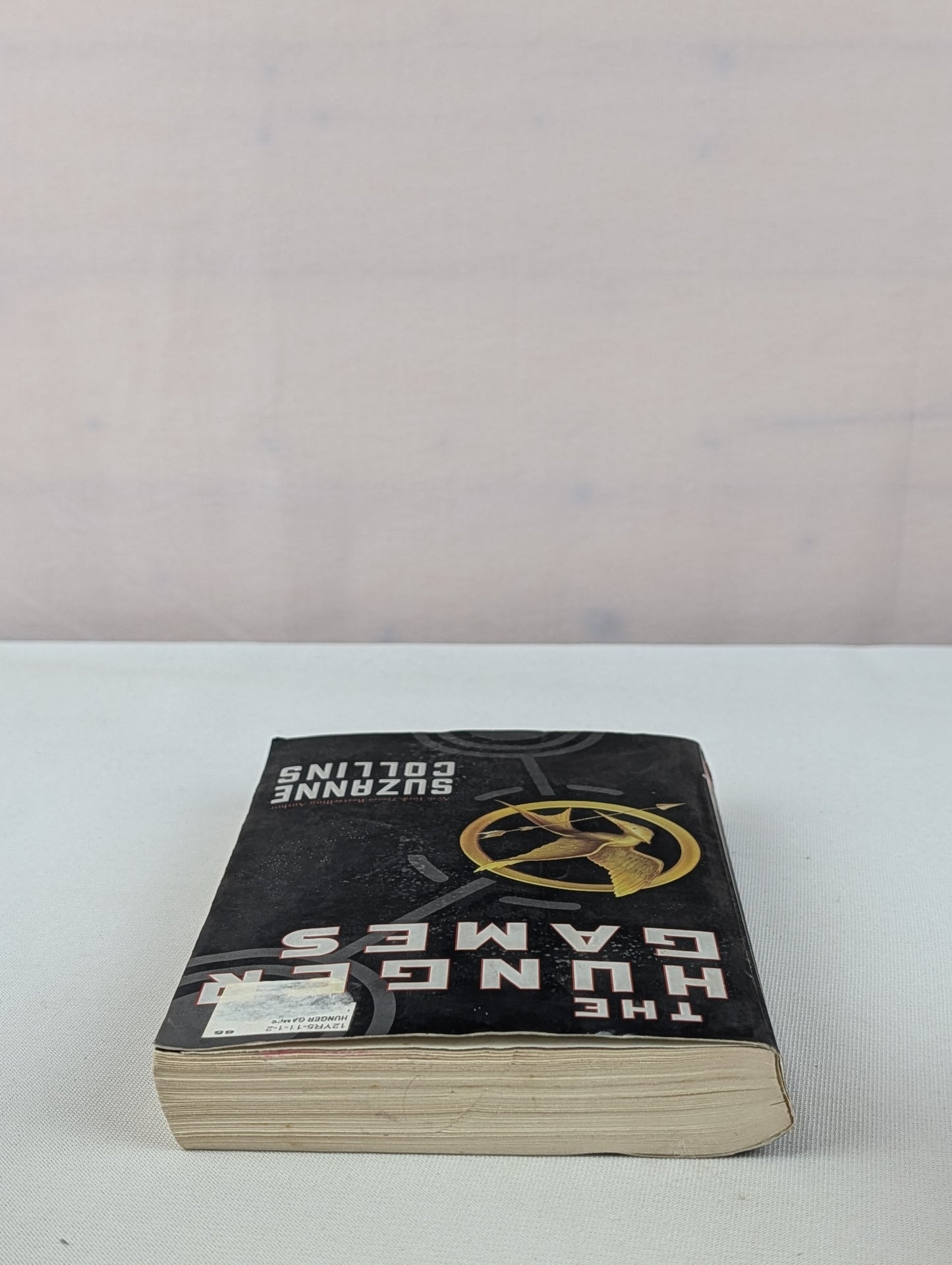 The Hunger Games (Book 1) by Suzanne Collins