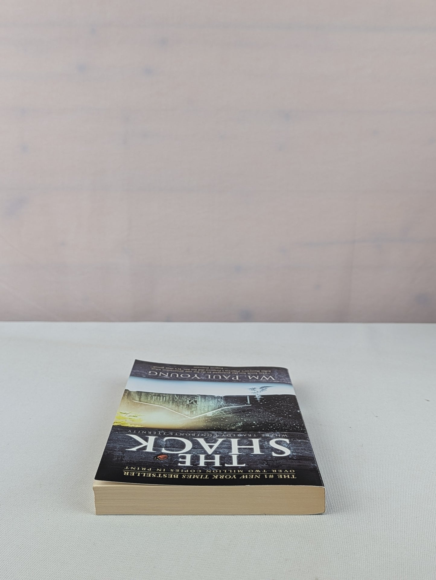 The Shack: Where Tragedy Confronts Eternity by William P. Young