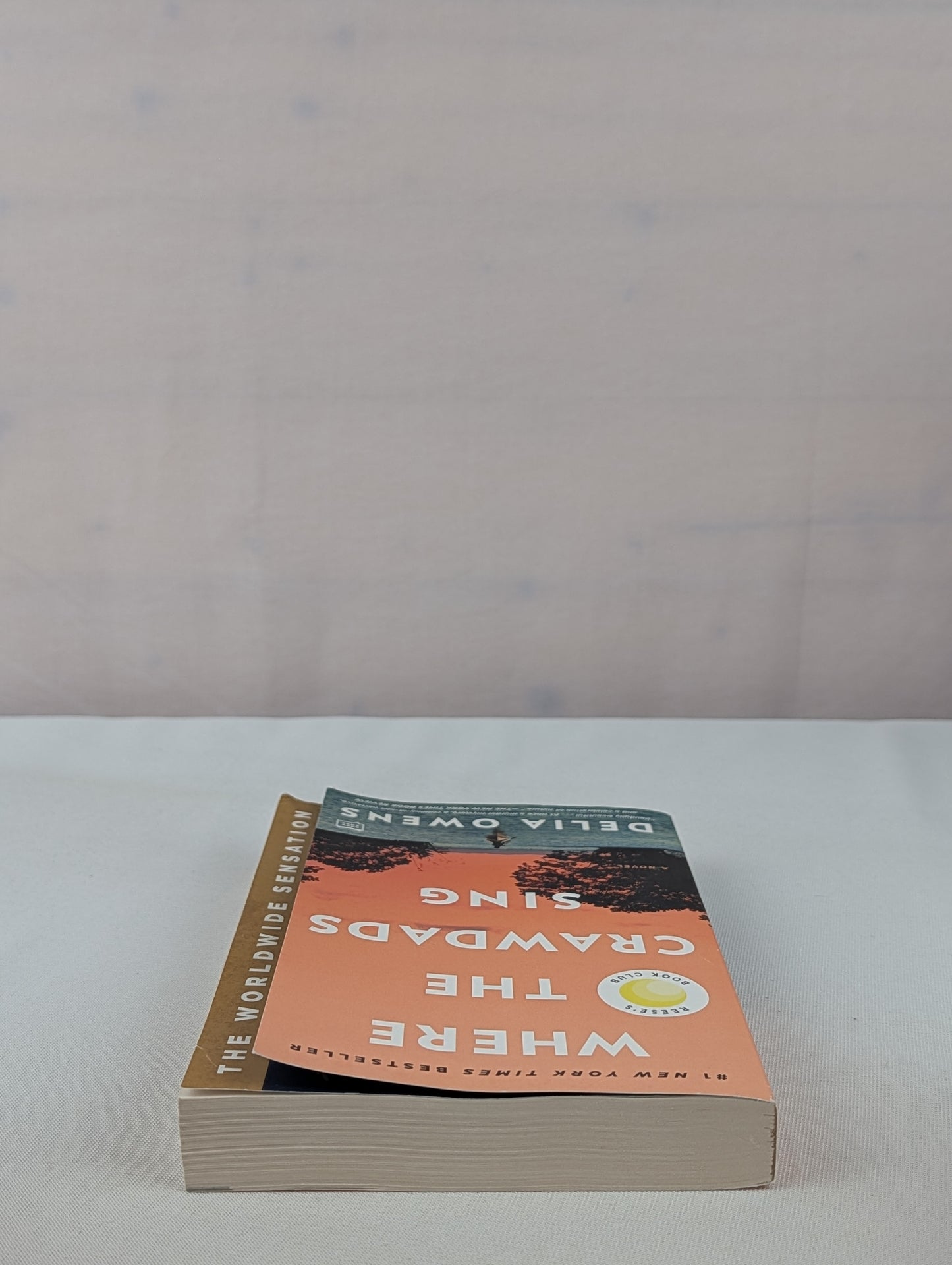 Where the Crawdads Sing: Reese's Book Club (A Novel) by Delia Owens