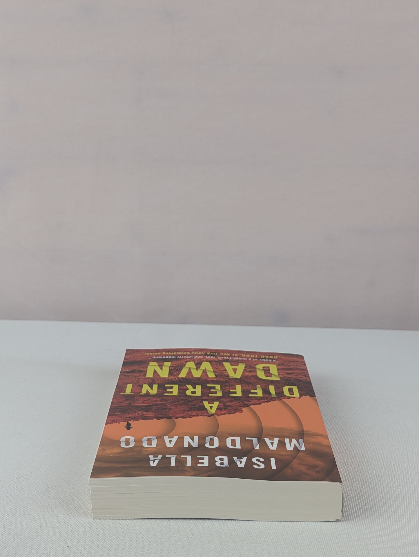 A Different Dawn (Nina Guerrera) by Isabella Maldonado